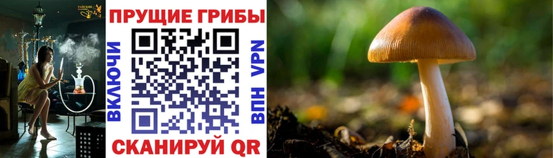 Галлюциногенные грибы Magic Shrooms  наркотики  Белинский 